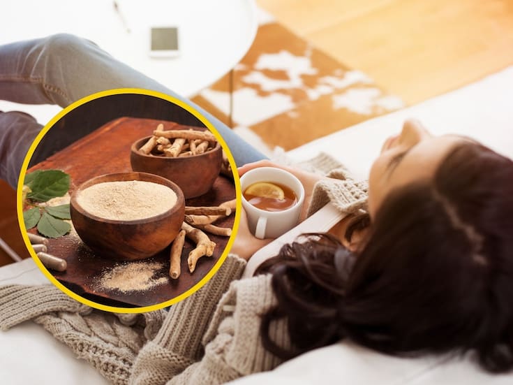Ashwagandha: la planta milenaria que reduce el estrés y mejora el sueño, según expertos