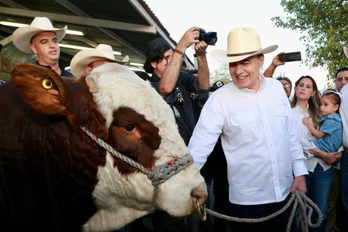 Se incrementa el ritmo de exportación de ganado a EU: Gobernador