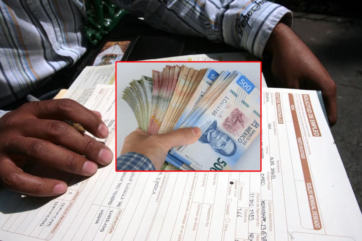 ¿Cómo obtener el Apoyo al Desempleo en 2025? Requisitos para recibir 15 Mil Pesos