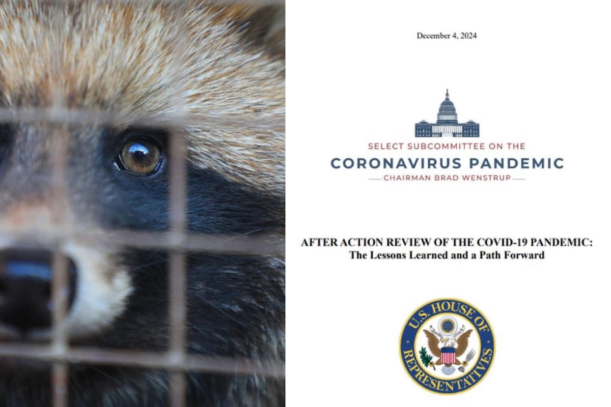 Nuevas evidencias explican el posible origen del COVID-19