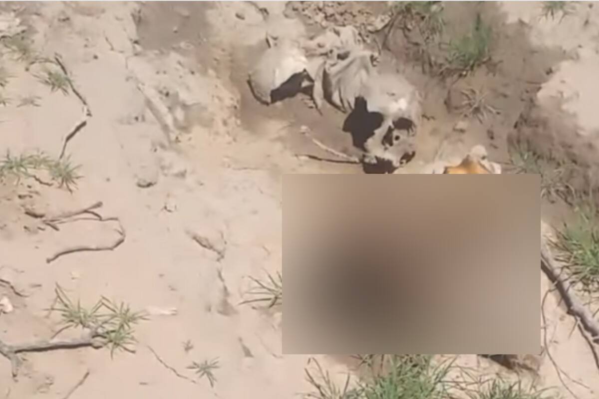 Narco en México: Hallan fosas con dos osamentas y un ejecutado en la región de Altar y Caborca