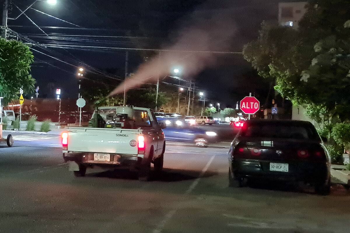 Alertan de 10 colonias de Hermosillo que son foco rojo por dengue y rickettsia