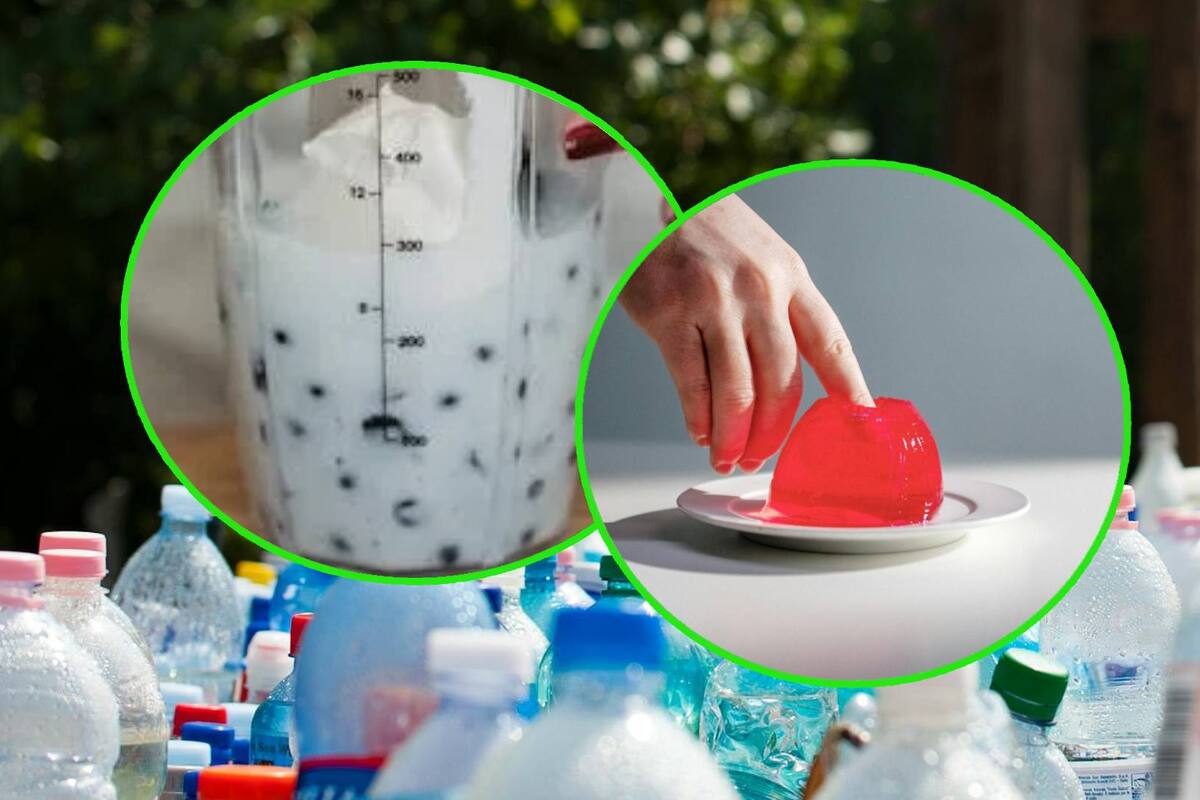 Envases de yogures o gelatinas entre los 10 peores plásticos para el medioambiente en México, según WWF