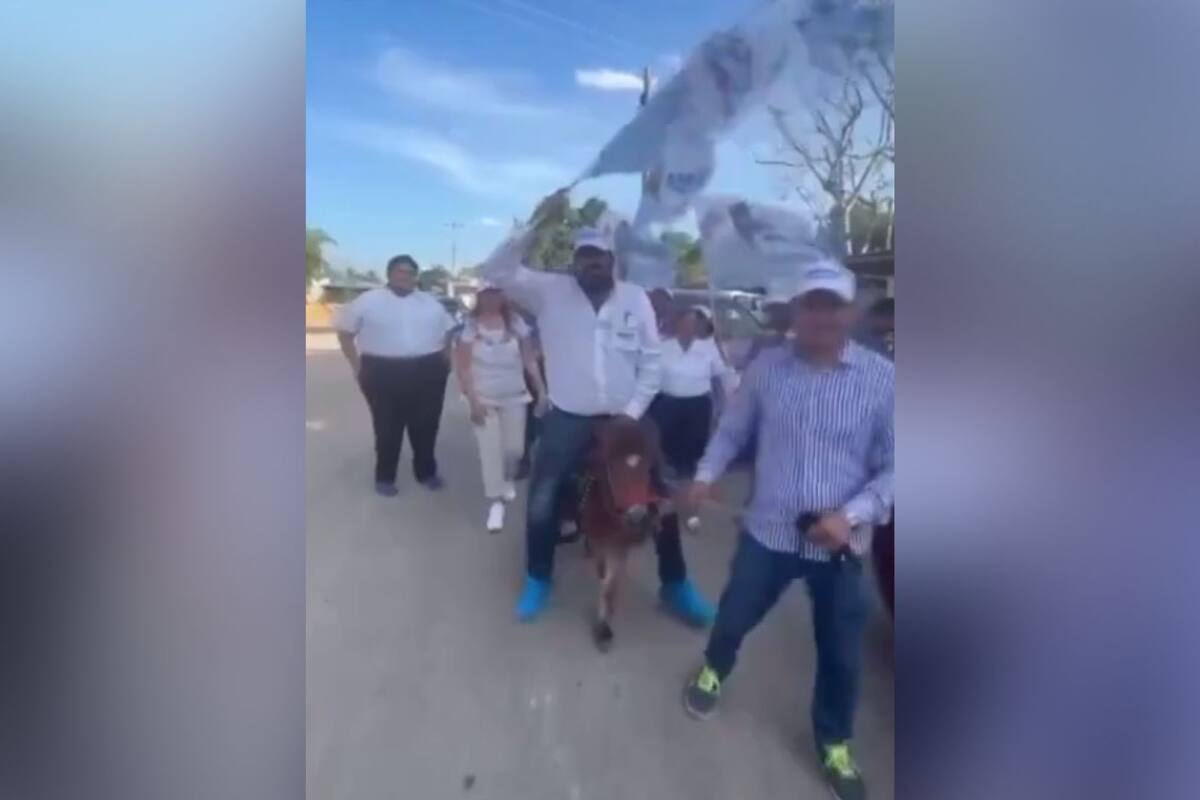 Critican a candidato del PAN en Yucatán tras montar a poni durante campaña