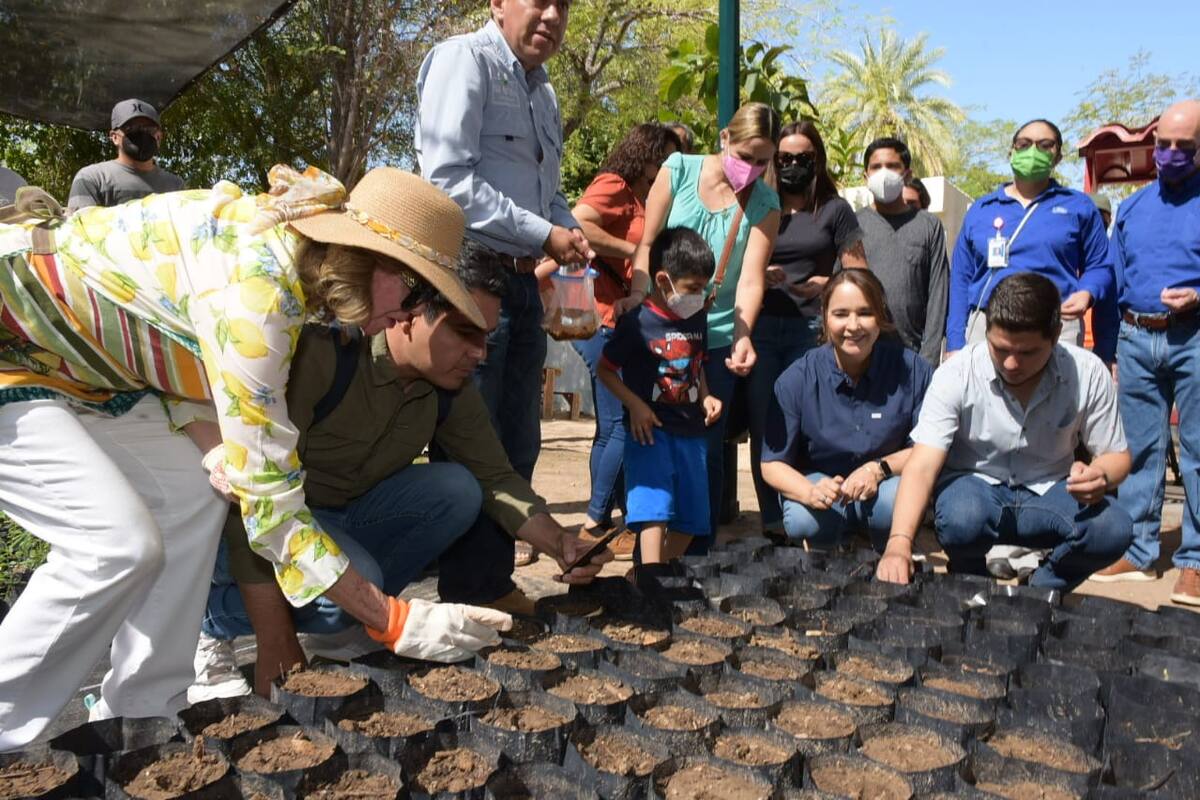 Vivero municipal regalará sólo árboles nativos para reforestar