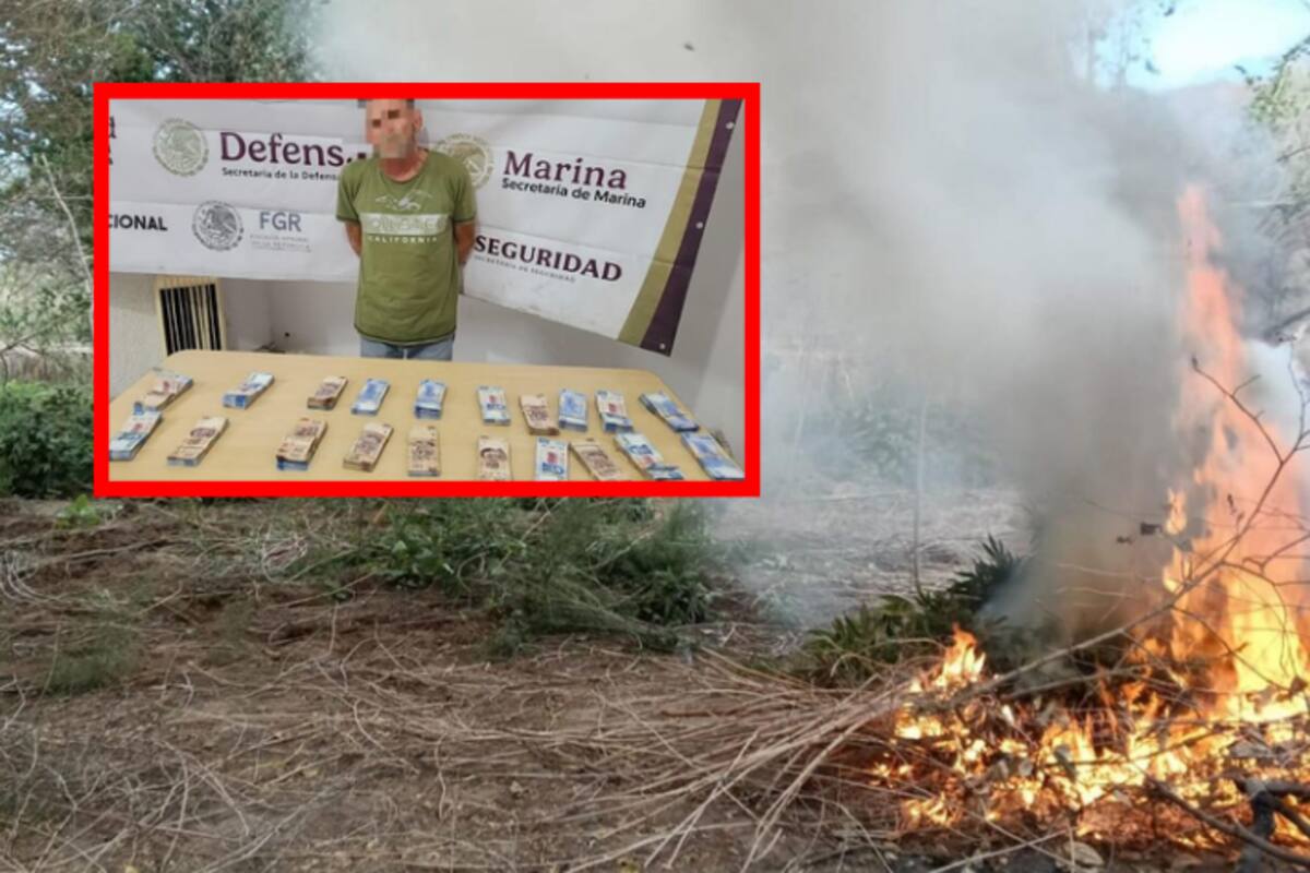 Autoridades erradican plantíos de marihuana y desmantelan pista clandestina en Sinaloa