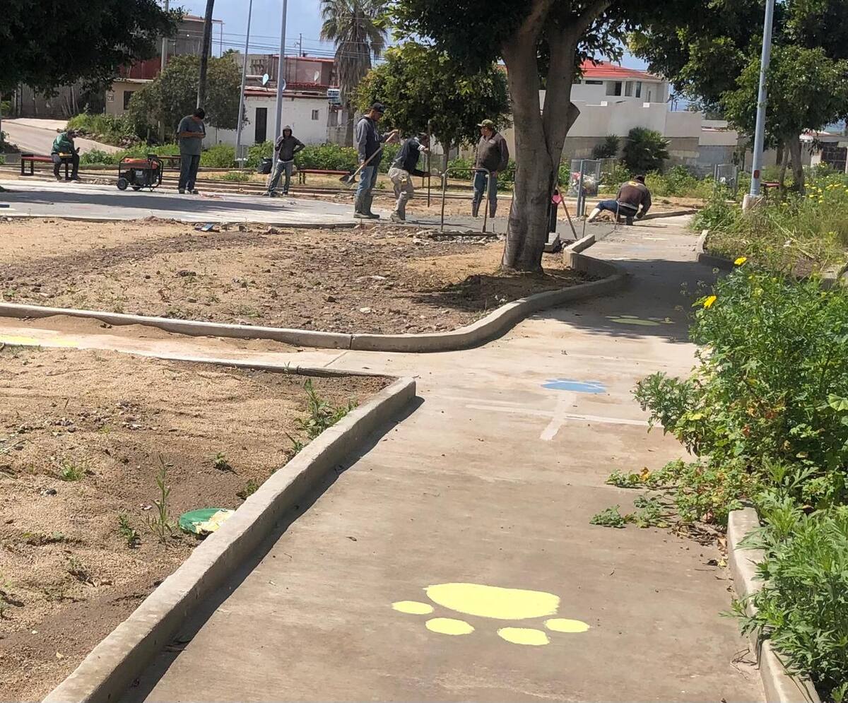 Pintan huellas en parque lineal en Rosarito