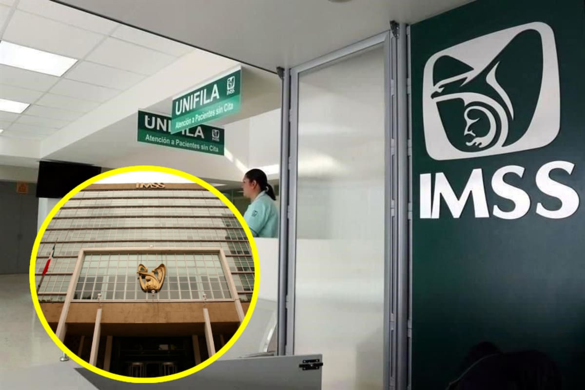 ¿Cómo puedes tener IMSS sin tener empleo ni estar contratado en ninguna empresa?