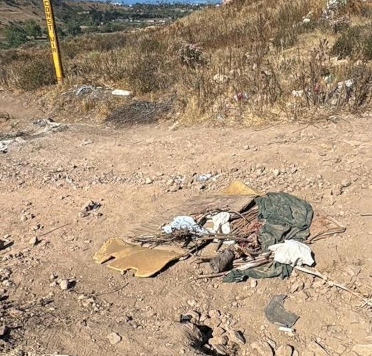 Foto: Carmen Gutiérrez