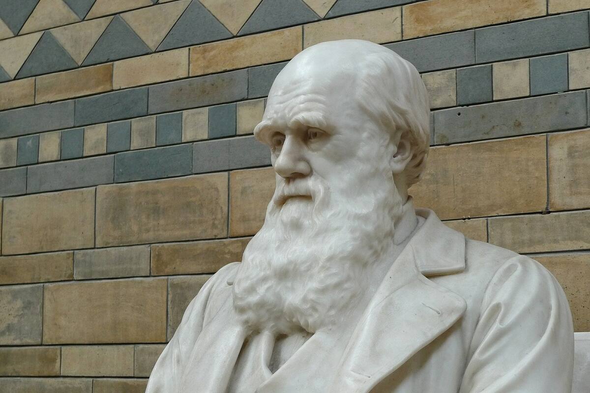 Quién fue el verdadero autor de la frase "la supervivencia del más apto" (y no fue Charles Darwin)