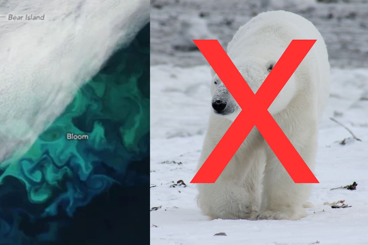 Isla del Oso: el rincón del Ártico donde la belleza natural convive con la amenaza nuclear