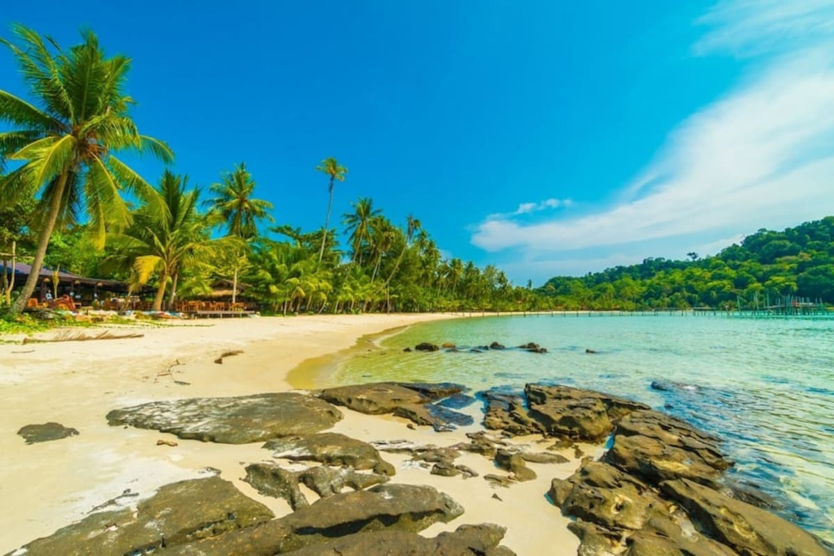 Cofepris alerta por 16 playas no aptas para nadar; autoridades lanzan aplicación “Playas MX” para revisar calidad del agua