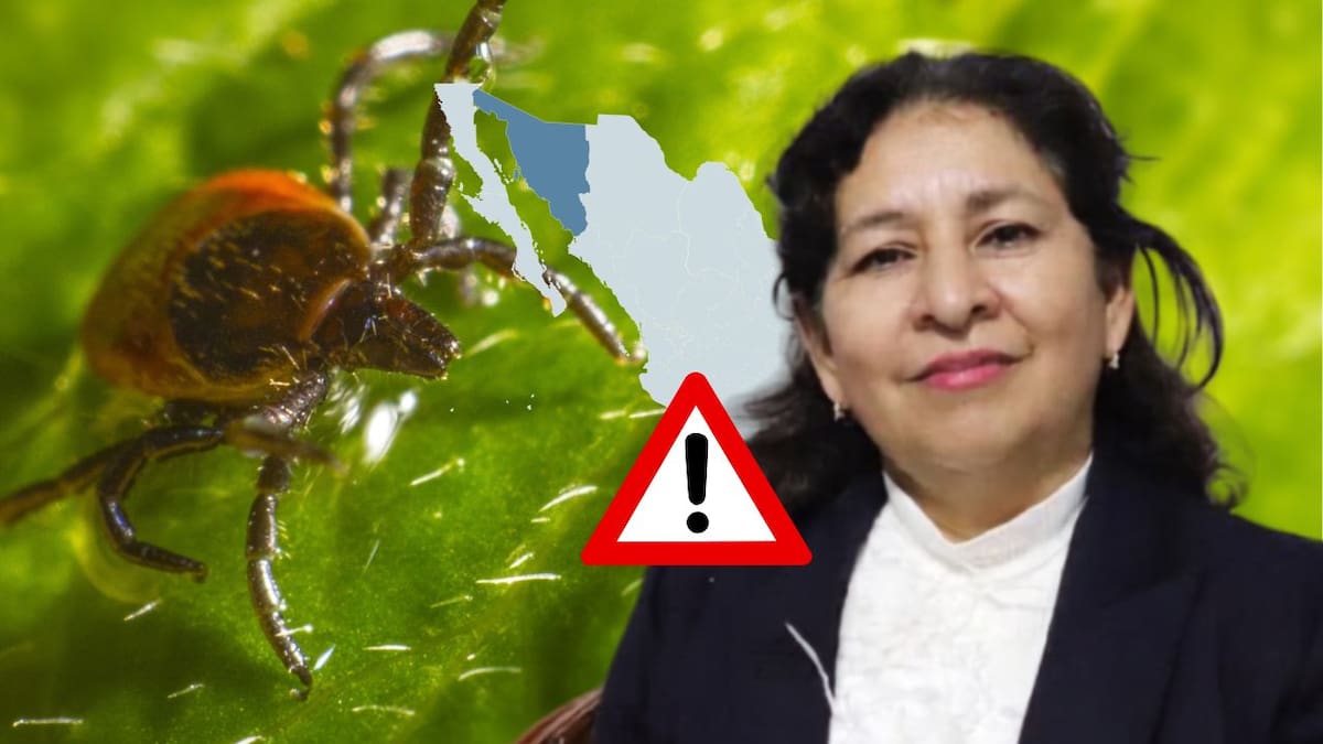 Enfermedad de Lyme en México: especialista estima prevalencia de hasta 6% en Sonora y Baja California y pide que los casos sean de reporte obligatorio