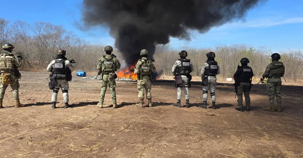 Seguridad Pública de Sinaloa.