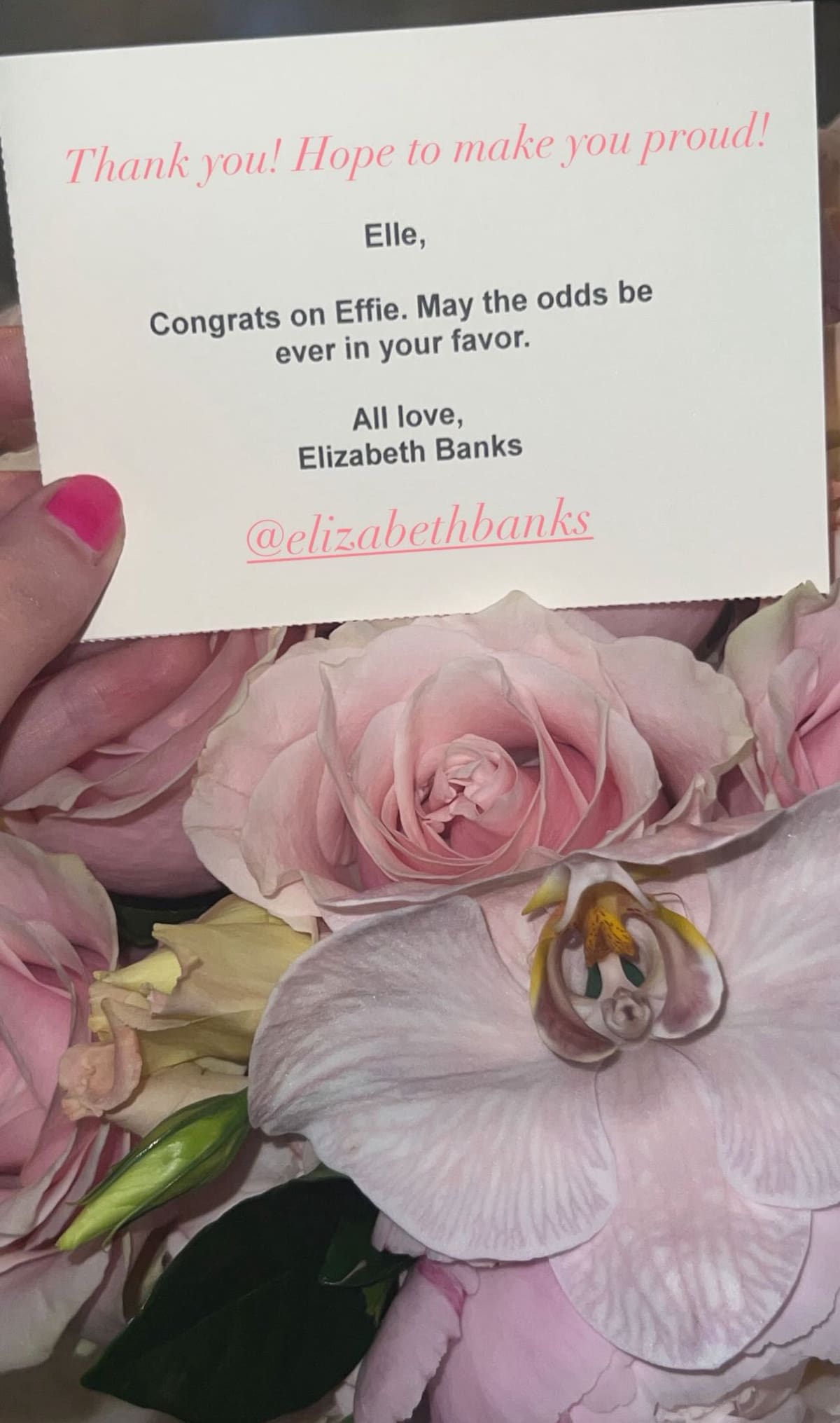 Historia de Instagram de Elle Fanning