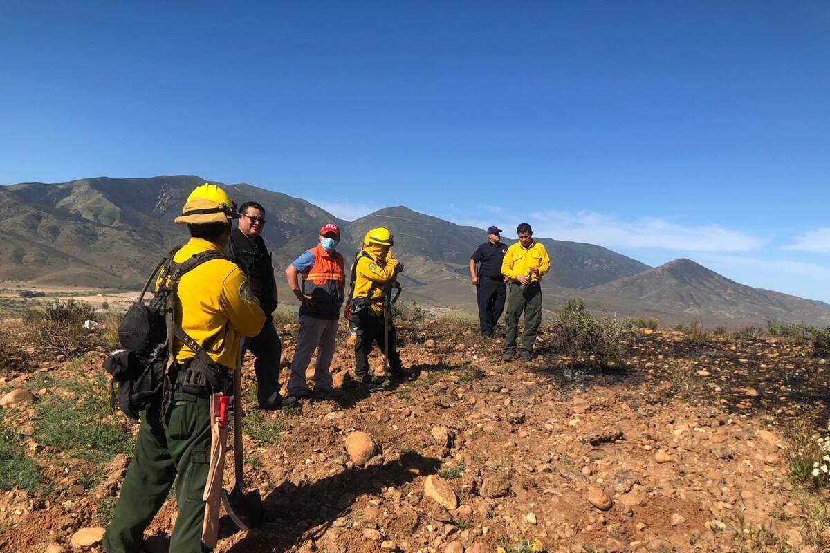 Realizan operativo para sofocar incendio forestal en Tecate