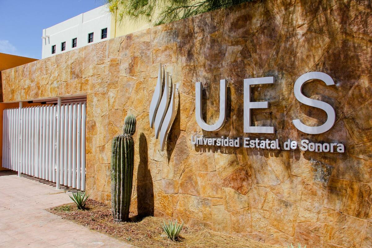 UES lanza Convocatoria de Nuevo Ingreso 2024 para programas virtuales