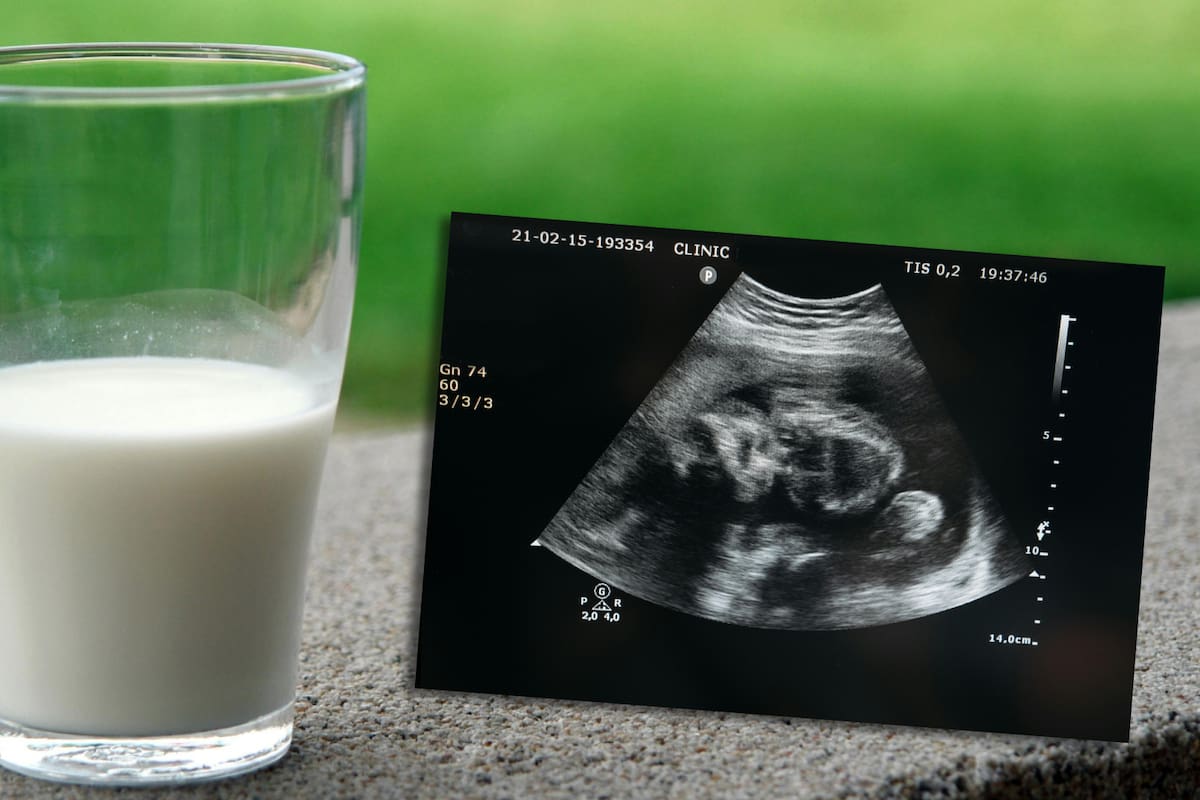 Mamá demanda a granja después de tomar leche cruda; dice que enfermó a su hijo pequeño y le provocó un aborto