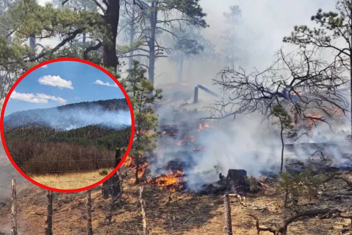 Incendio forestal en Guerrero, Chihuahua moviliza a Sedena y Protección Civil