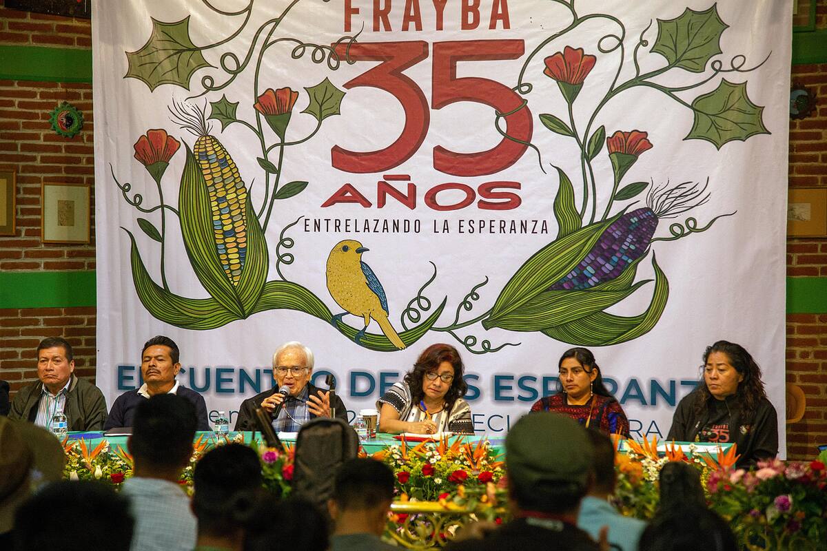 Denuncian crisis de derechos humanos en pueblos originarios del sur