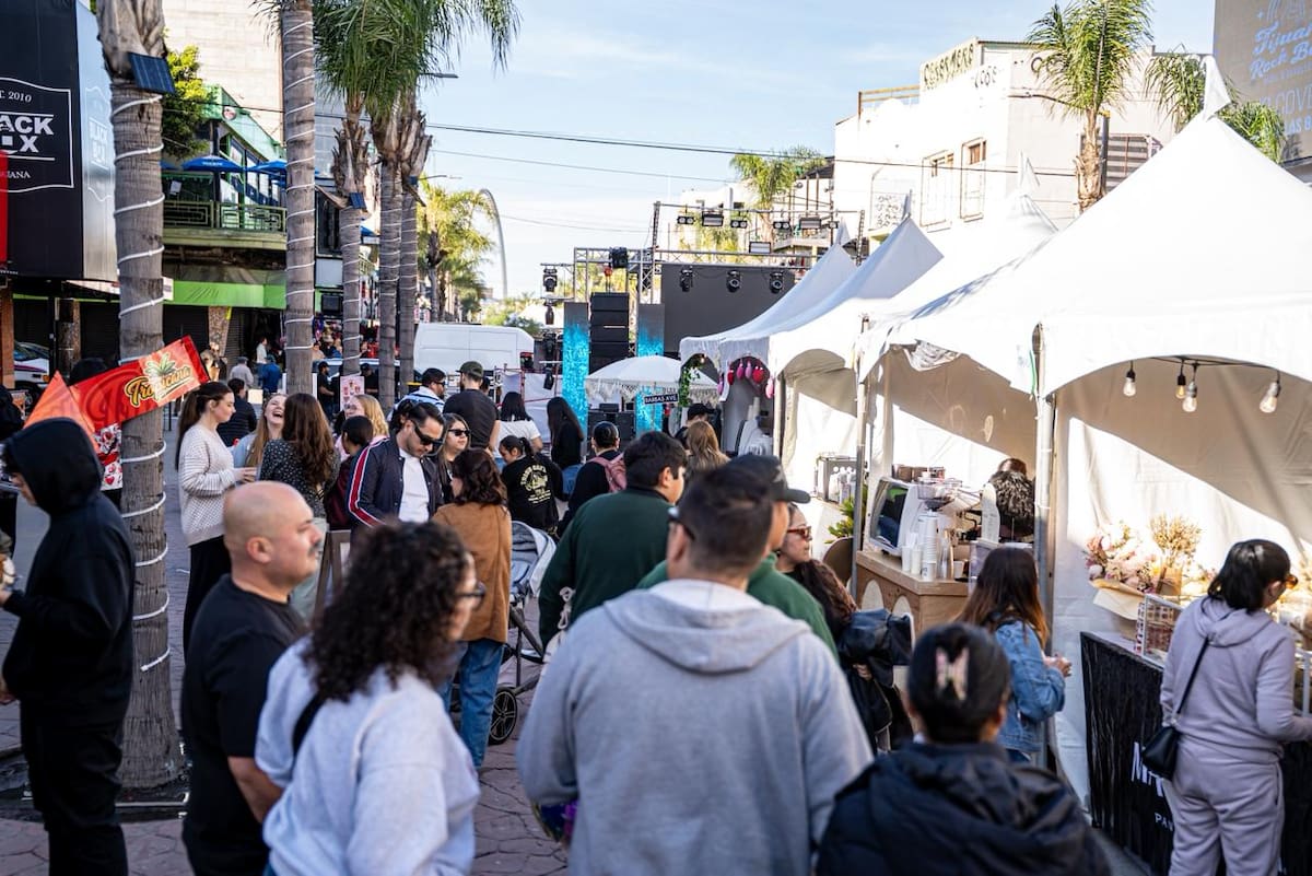 Más de 60 expositores, entre ellos 45 cafeterías, participan en el festival que integra café, arte, cultura y gastronomía en un ambiente familiar. Foto: Border Zoom