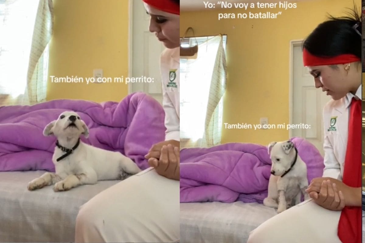 Mujer regaña a su cachorro y se viraliza por la forma en la que discuten