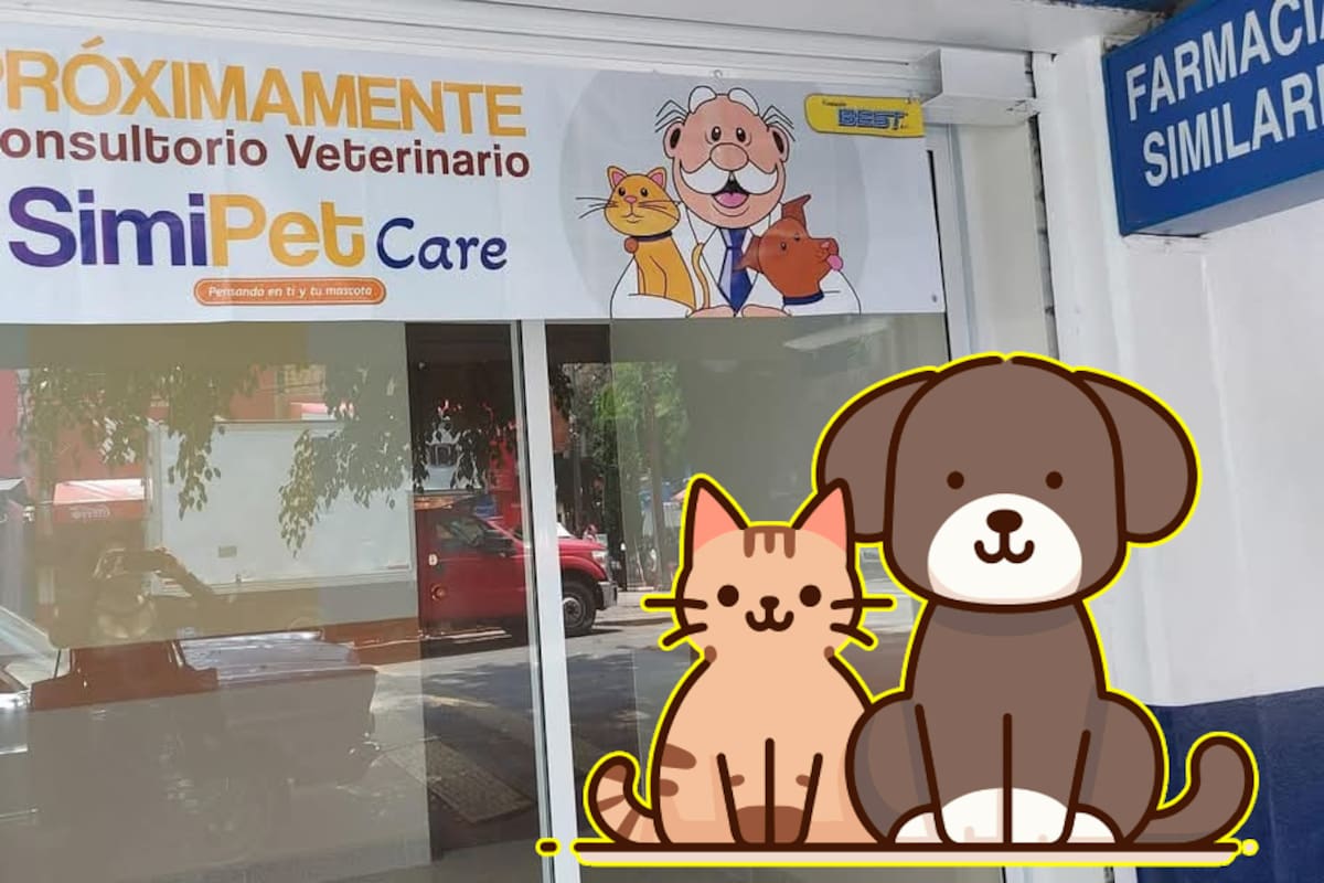 Dr. Simi Veterinario: Revelan cuánto podrían costar las consultas para las mascotas