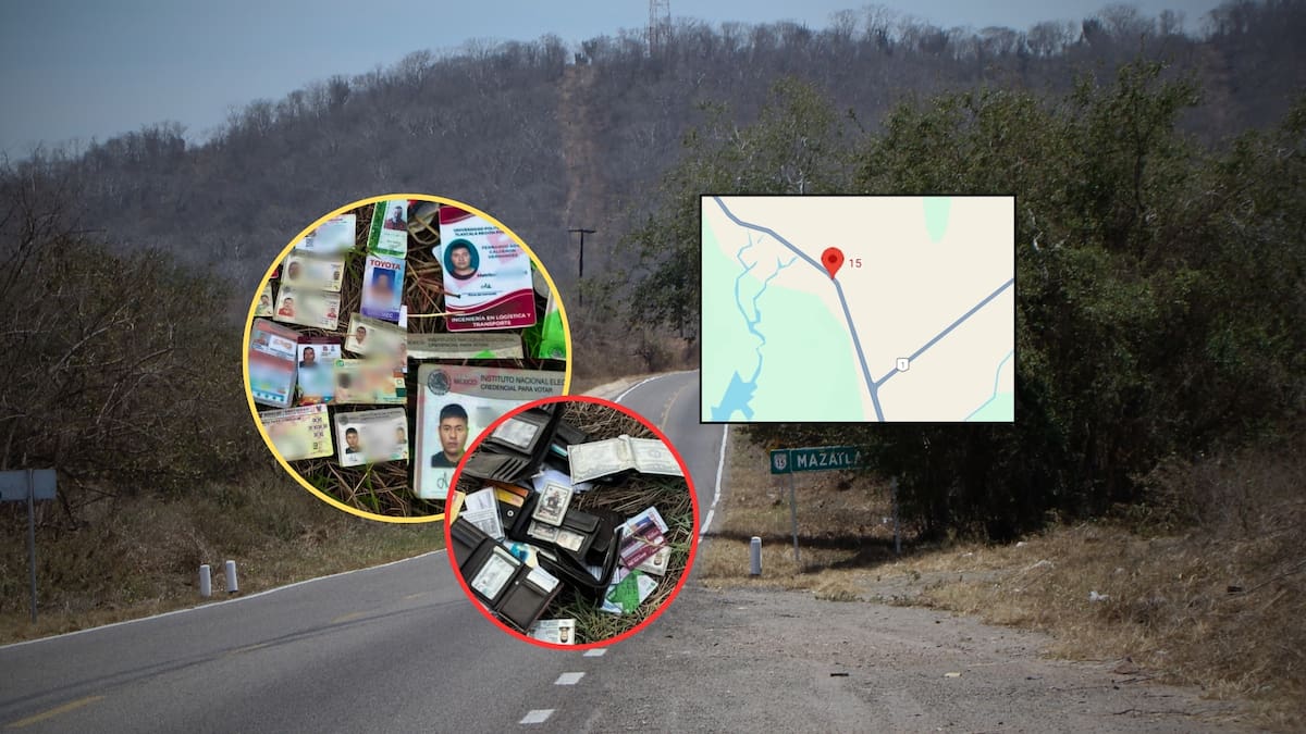 Identifican a dueños de carteras halladas abandonadas con documentos oficiales en la carretera México 15, al sur de Mazatlán, entre ellas credenciales universitarias de diferentes estados; colectivos piden localizarlos
