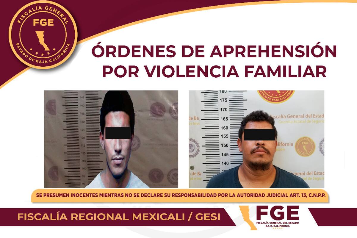 Violencia familiar: Van a prisión dos hombres