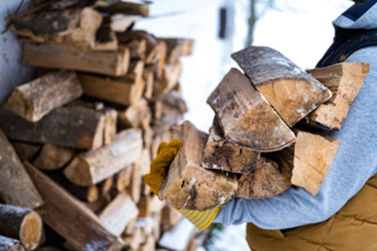 Mantienen restricciones en la venta de leña; sancionarán fogatas