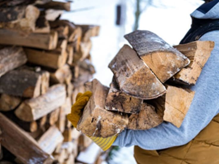 Mantienen restricciones en la venta de leña; sancionarán fogatas