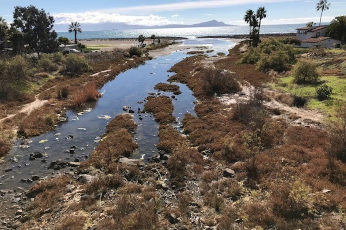 Aprueban plan de manejo del Parque Estatal Arroyo San Miguel