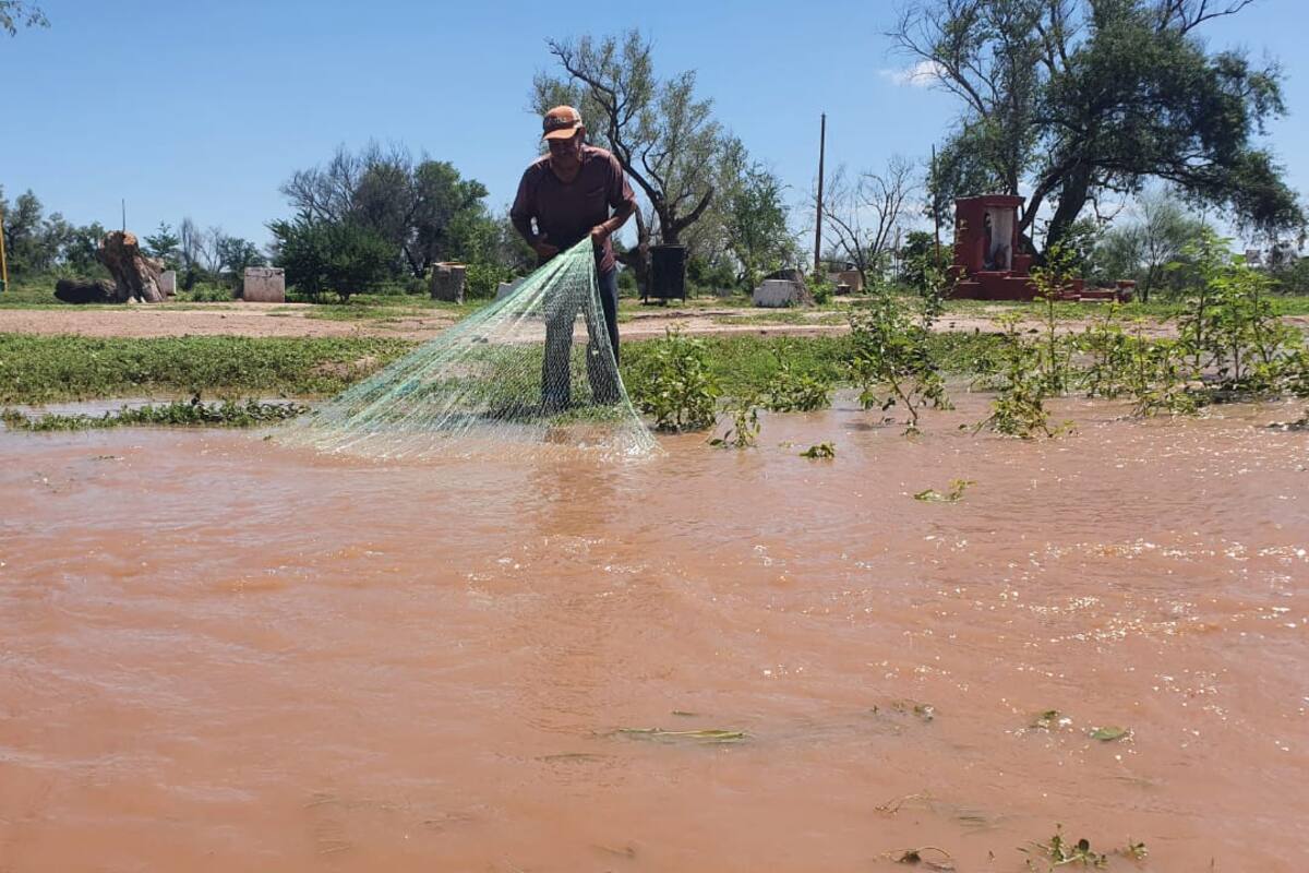 Corre agua por cauce del río Mayo y atrae a visitantes