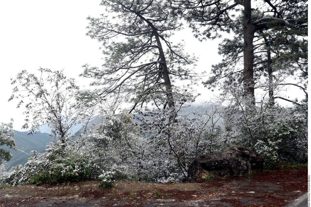 Clima hoy: Alertan por entrada de frente frío número 33