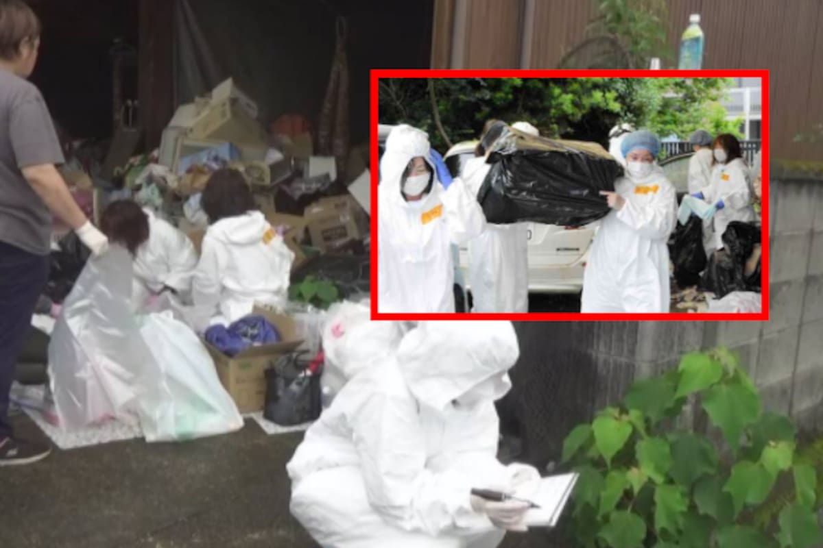 Horror en Japón: hallan 150 gatos muertos y en descomposición dentro de la casa de una mujer que decía proteger animales