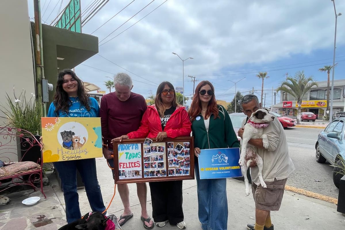 Realizan jornada de adopción de perritos en Rosarito