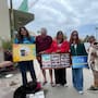 Realizan jornada de adopción de perritos en Rosarito