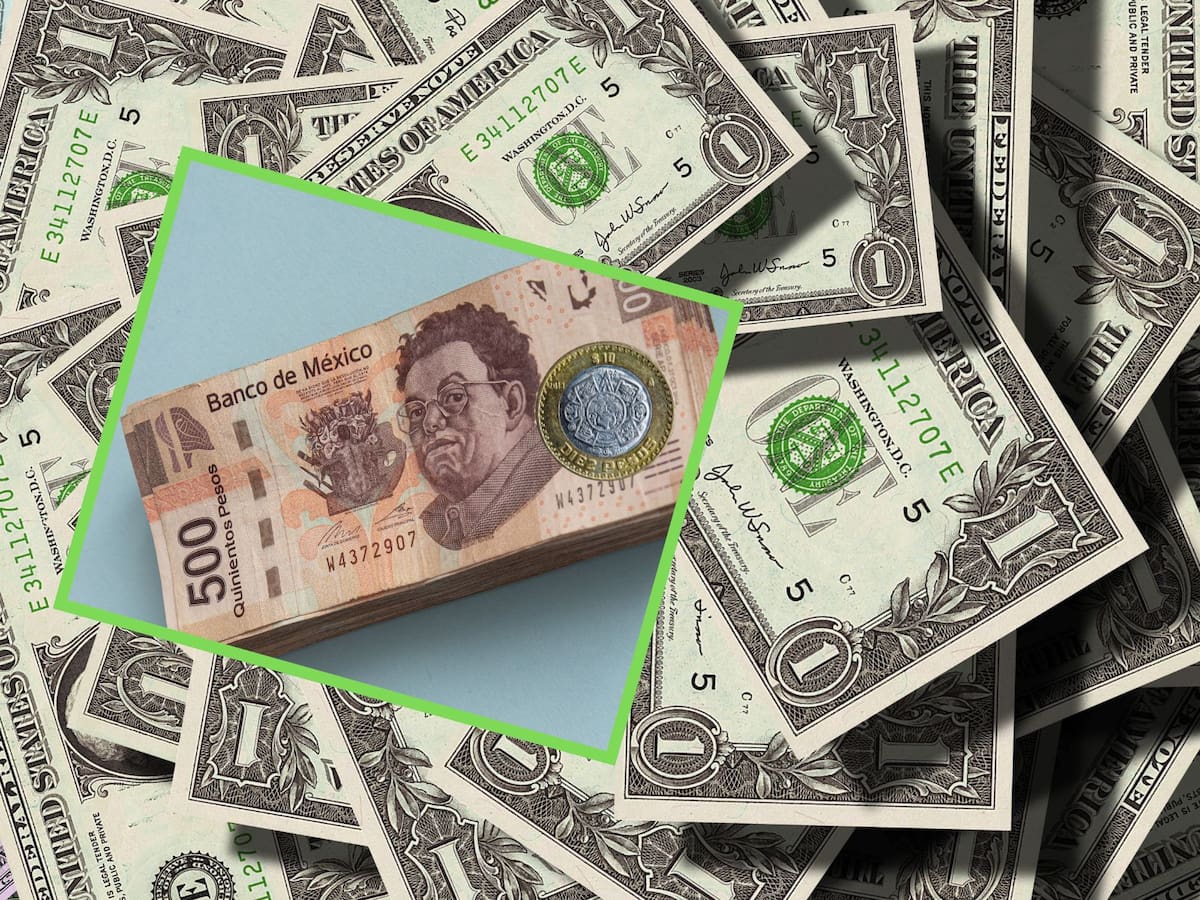 Dólar vs Peso: ¿En cuánto se cotiza el dólar hoy? | Crédito: Canva