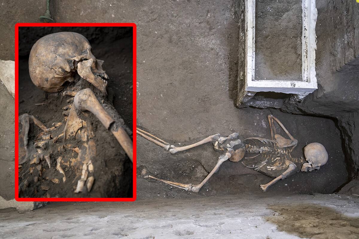 Hallazgo en Pompeya: Pareja intentó escapar con sus joyas y tesoro durante la erupción del Vesubio