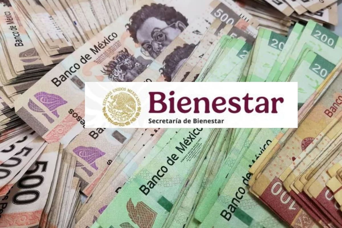 Préstamos del Bienestar: puedes obtener hasta 45 mil pesos