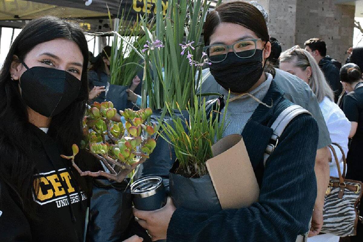 Cetys Tijuana inicia programa para ‘Crecer en verde’