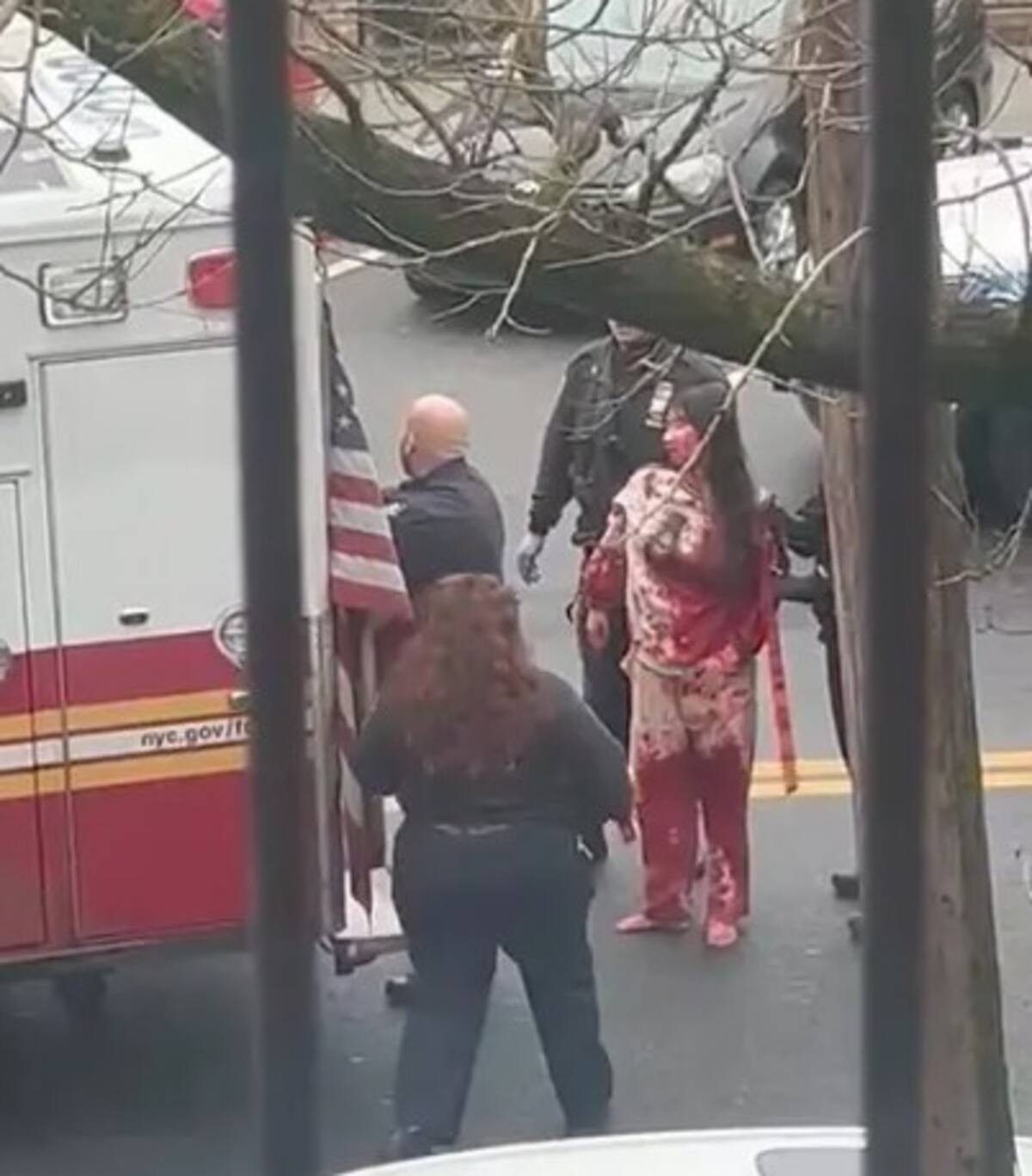 Las cuatro niñas, de 16, 13, 11 y 8 años, sufrieron heridas graves por cortes y fueron llevadas al Maimonides Medical Center. Se espera que sobrevivan. Foto: Especial (Captura de video de YouTube/NYP)