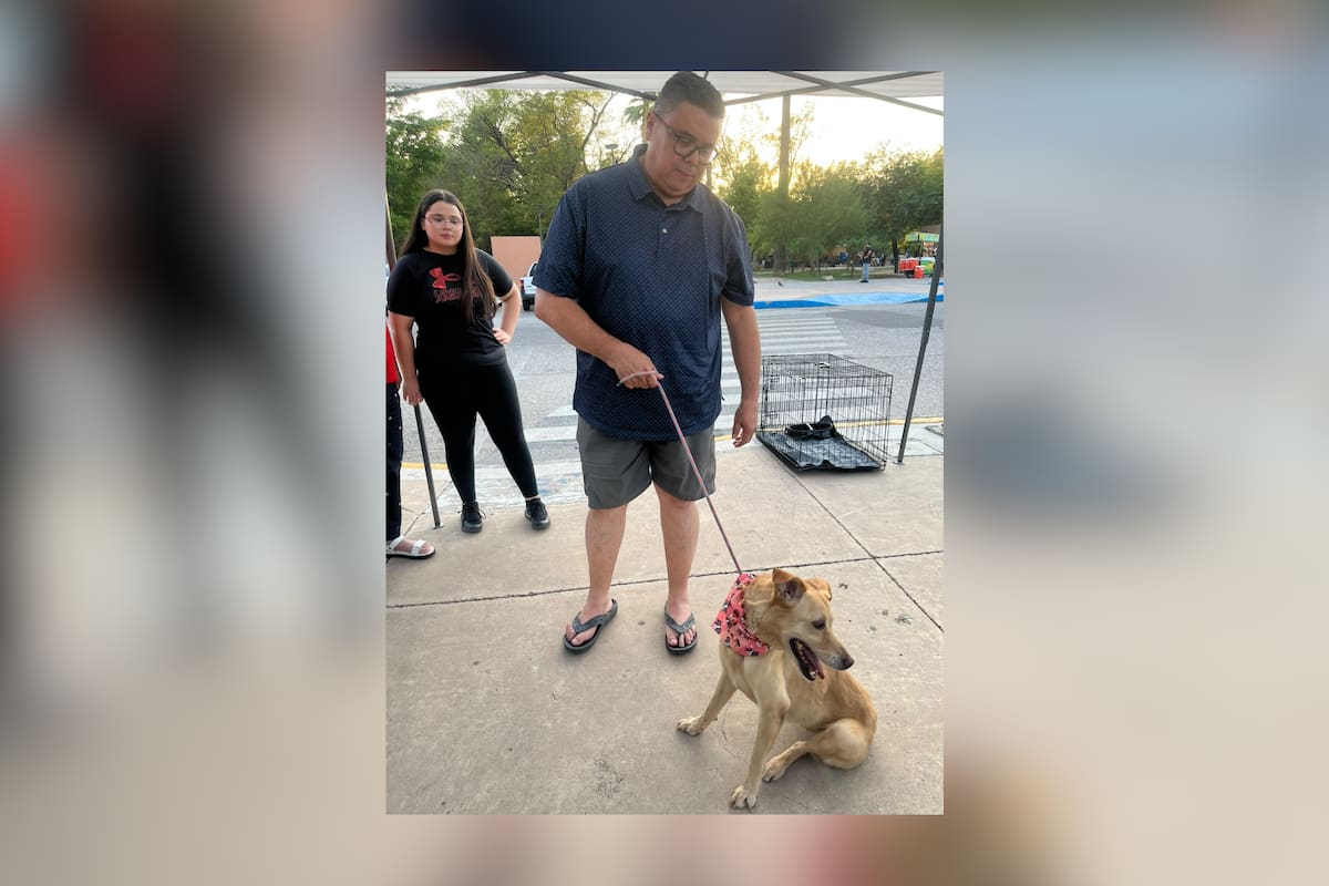 Feria de adopción busca dar una segunda oportunidad a perros y gatos maltratados en Hermosillo