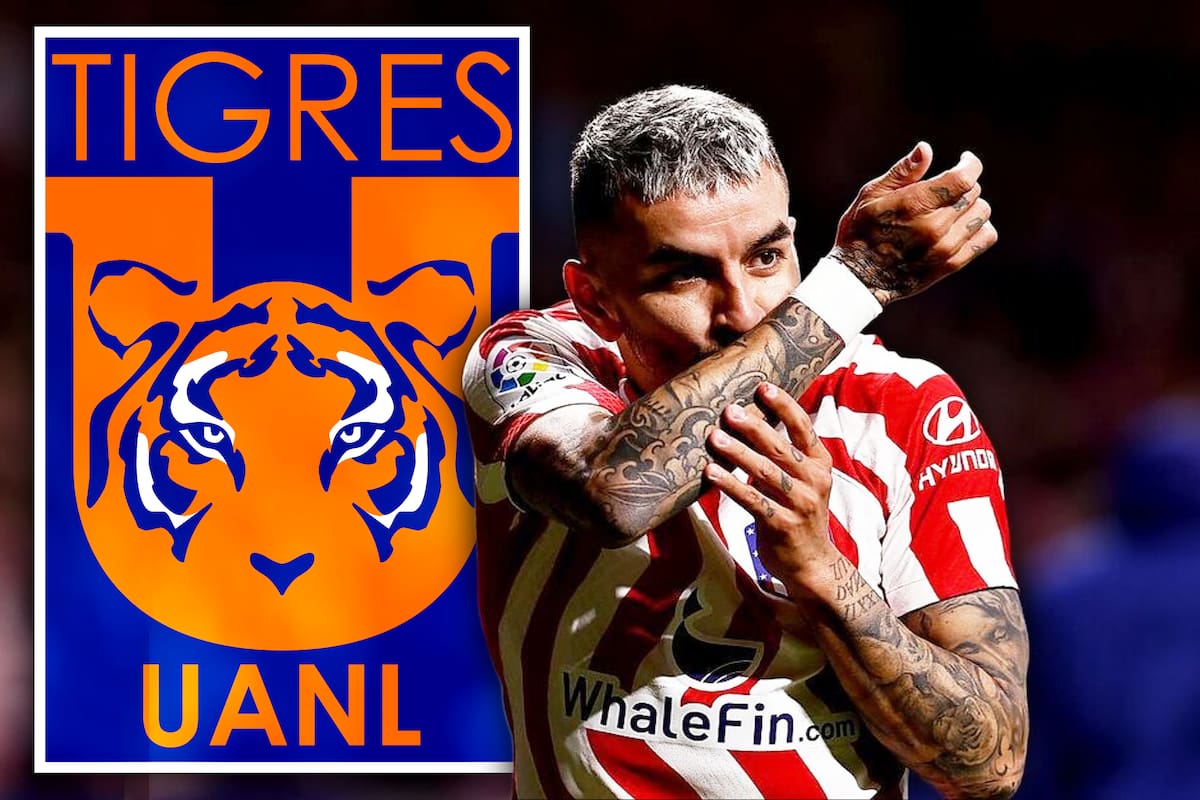 Tigres prepara un BOMBAZO para el mercado de fichajes