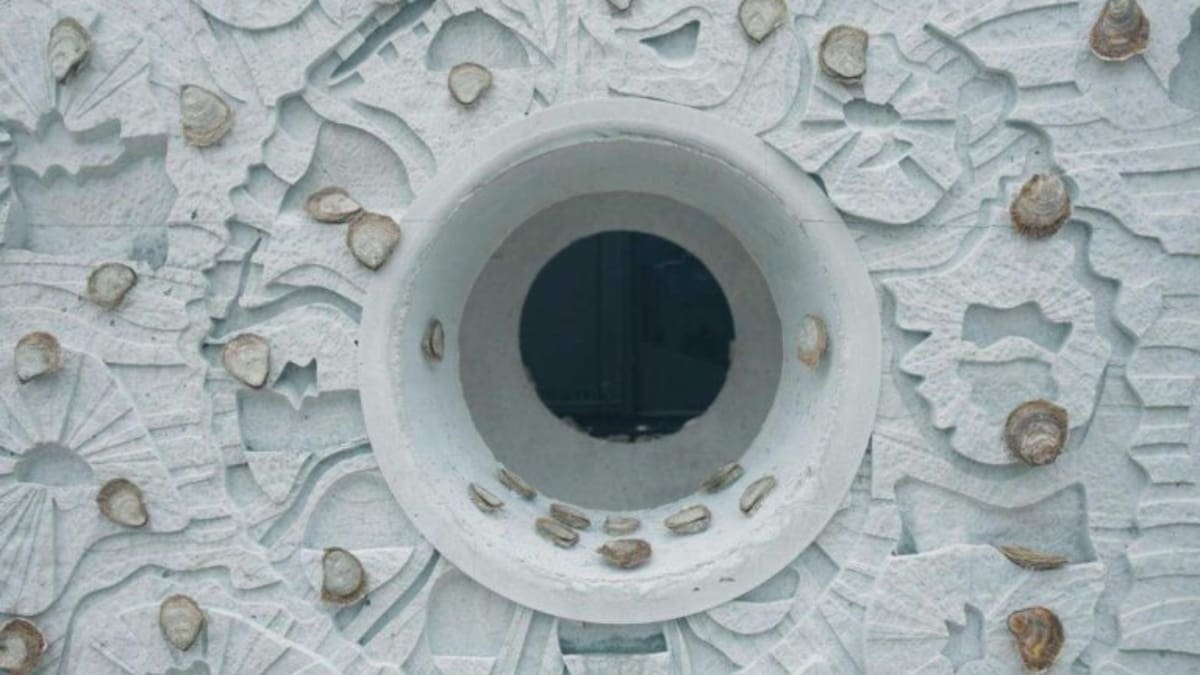 © Trai Anfield, Stronger Shores Project