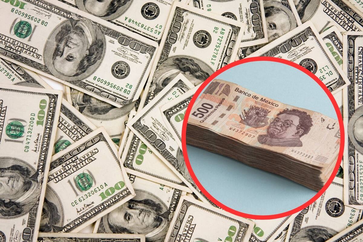 Peso mexicano se desploma ante el dólar hoy 19 de febrero del 2025: ¿Cómo se cotiza?