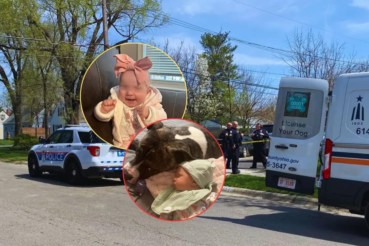 Bebé de 7 meses muere terriblemente atacada por el pitbull de su familia en Ohio; padres no entienden cómo pudo suceder