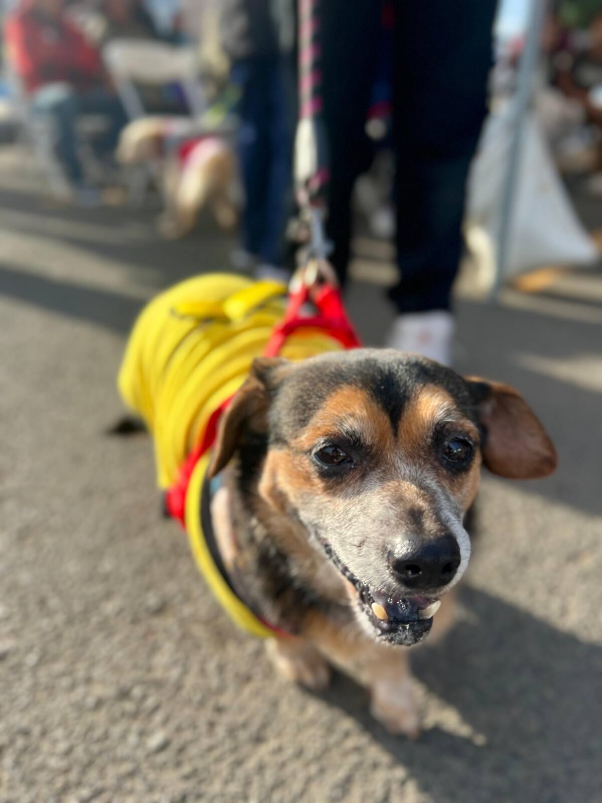 Foto: Leonardo González