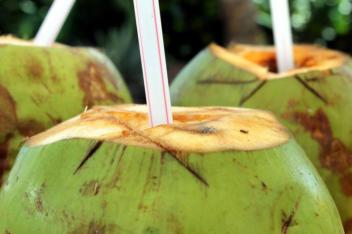 Los beneficios que te da tomar agua de coco