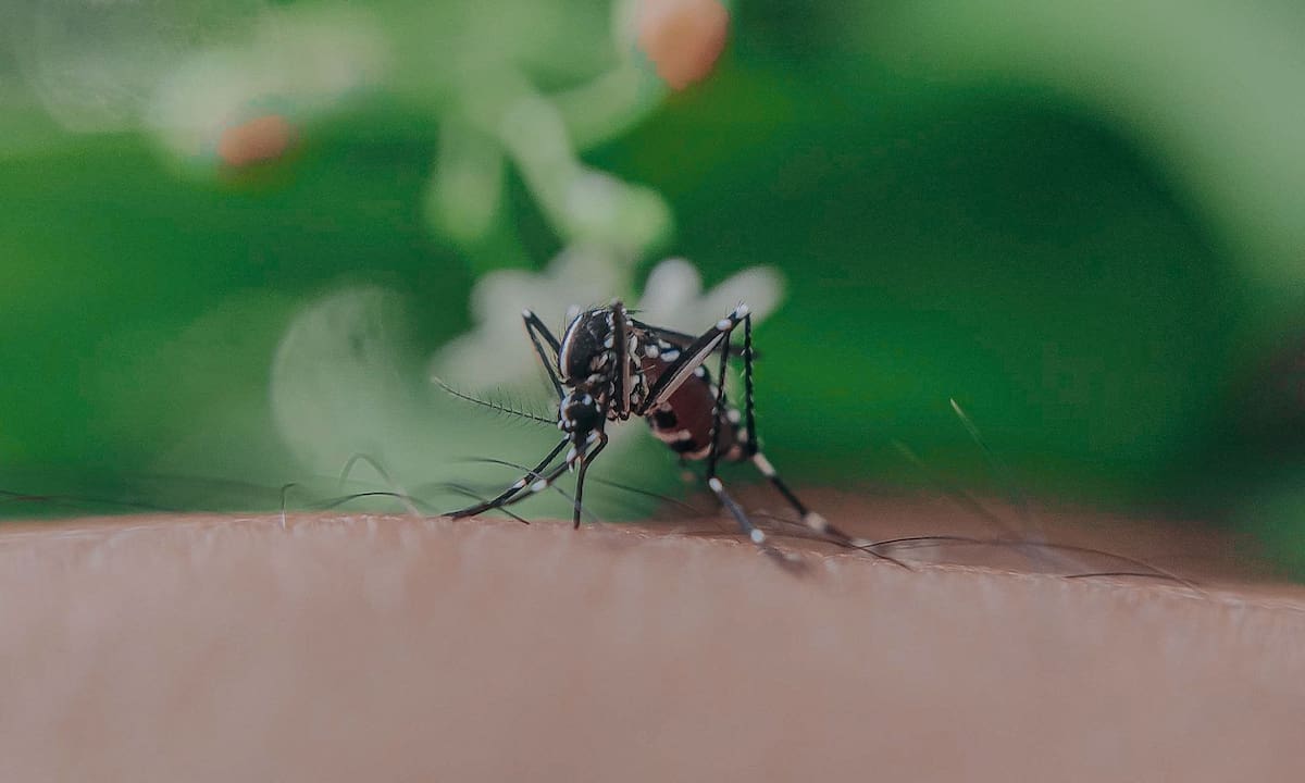 Esto equivale a una cifra potencial de hasta 32 millones por estado durante todo el periodo experimental, o hasta 64 millones entre California y Florida, dependiendo de cómo se contabilice el total. Pexels